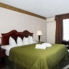 Отель Quality Inn, фото 12