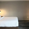 Отель Holiday Inn Sarnia Hotel & Conf Centre, фото 18