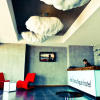 Отель Efe Boutique Hotel, фото 11