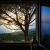 Отель Olivenere Villa Agriturismo, фото 21
