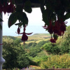 Отель Boscastle House, фото 20