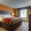 Отель Comfort Inn Chattanooga, фото 7