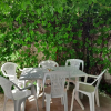 Отель Noto Marina, 100 Metri Dal Mare - Wi Fi Gratuito, фото 5