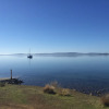 Отель Bruny Island Varuna, фото 10