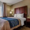 Отель Comfort Inn & Suites Jackson - West Bend, фото 7