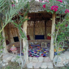 Отель Riad Oued Ramis, фото 1
