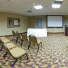Отель Holiday Inn Express Hotel & Suites MCDONOUGH, фото 20