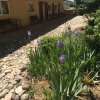 Отель Norwood Inn, фото 18