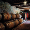 Отель Bellavista Castello di Bossi, фото 16