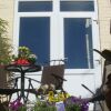 Отель Harlequin Guest House Weymouth, фото 7
