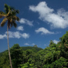 Отель La Dauphine Estate, фото 15