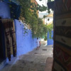 Отель La Petite Chefchaouen, фото 33