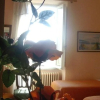 Отель Albergo Anna, фото 13
