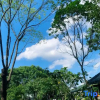 Отель Luofu Mountain Fengguyuan Streamside Homestay, фото 7