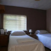 Отель Willow Guest House, фото 15