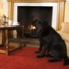 Отель Worsley Arms Hotel, фото 6