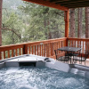Отель Fawn Valley Inn: 267 1 Bedroom Condo, фото 5