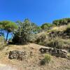 Отель Wonderful house in the heart of Sicily, фото 11