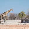 Отель Andersson's Camp, фото 14