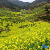 Отель Huangling Impression Boutique Hostel, фото 14