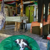 Отель Bela Casa Ilha Grande, фото 23