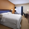 Отель Sheraton Bellevue Hotel, фото 5