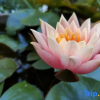 Отель Yehouxi Homestay, фото 16