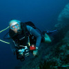 Отель Blue Ribbon Dive Resort, фото 27