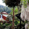 Отель Shivapuri Village, фото 7