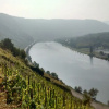 Отель Weingut Sauer-Kettermann, фото 24
