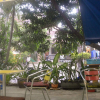 Отель Kingston Jamaica Hostel, фото 10