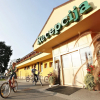 Отель Zeleni Gaj - Sava Hotels & Resorts в Верзее