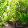 Отель Cairns Colonial Club Resort, фото 16