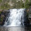 Отель Moffat Falls Lodge, фото 15