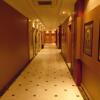 Отель Milan Deluxe Suites Hotel, фото 13