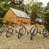 Отель Birchwood Guest Lodge, фото 28
