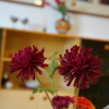 Отель Appartamento  Serena, фото 1