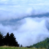 Отель Berghaus Hochblauen, фото 45