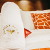 Отель Javilla Eagles Safari Guest House, фото 8