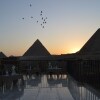 Отель Comfort Pyramids Inn, фото 21