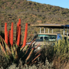 Отель Madi Madi Karoo Safari Lodge, фото 7