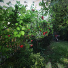 Отель A Place Like Home Apartamenty Horeszkow, фото 19