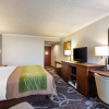 Отель Comfort Inn and Suites Anaheim, фото 12