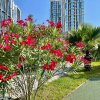 Гостиница OrangeHome, фото 7