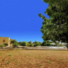 Отель Villa Son Confit, фото 15