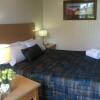 Отель Parkwood Motel & Apartments, фото 3