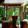 Отель Villa Habeebee, фото 17