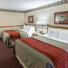 Отель Quality Inn & Suites, фото 4