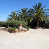 Отель Le Palme Bed And Breakfast, фото 3