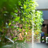 Отель 133 Boutique Hotel Karlsruhe, фото 23